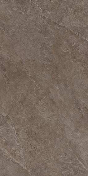Płytka Podłogowa Ash Brown 119,7x59,7 Ceramica Limone Płytka Podłogowa Ash Brown 119,7x59,7 Ceramica Limone
