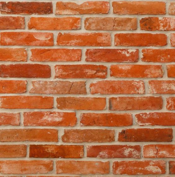 CEGŁY Płytka Dekoracyjna Cut Brick Premium 25x6 Maxstone