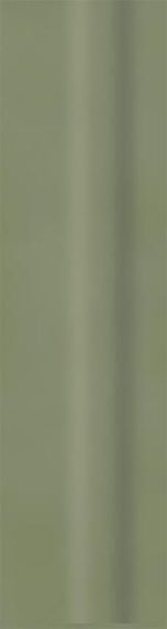 Cokół Green Philosophy Olive Mat 29,8x8 Paradyż My Way
