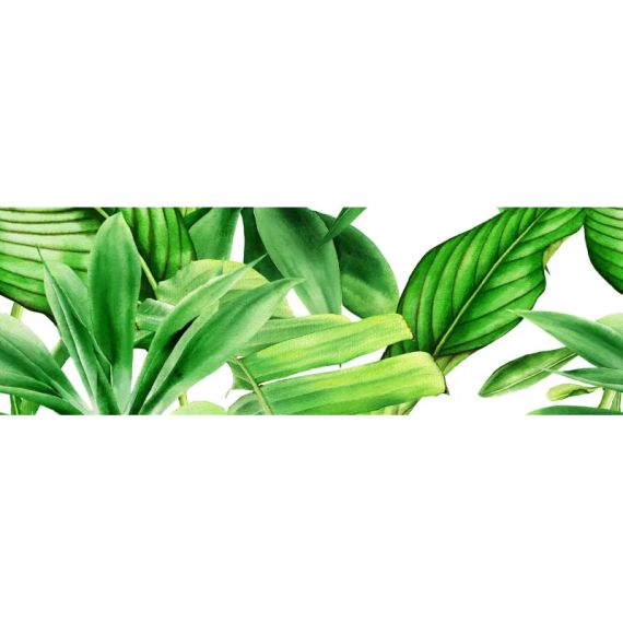 Dekor Garden Tropic A 75x25 Ceramica Bianca