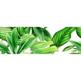 Dekor Garden Tropic A 75x25 Ceramica Bianca