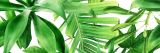 Dekor Garden Tropic B 75x25 Ceramica Bianca