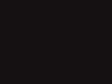 Farba Reno Dach Czarny RAL 9005 1L Goldmurit