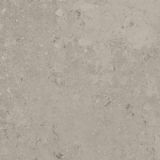 Płytka Freedust Taupe Mat 59,8x59,8 Paradyż Classica