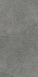 Płytka Tarasowa Authority Graphite Mat 59,5x119,5 Paradyż