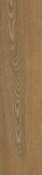 Płytka Tarasowa Trueland Honey Mat 29,5X119,5 Paradyż