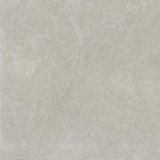 Płytka U118 Light Grey Mat 59,8X59,8 Paradyż