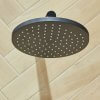 10 Shine Pearl Woodie Hansgrohe deszczownica