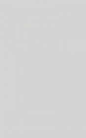 Melby Grys Ściana 25x40 Paradyż Kwadro