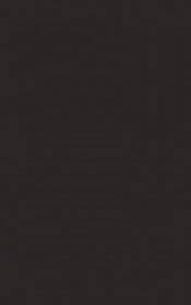 Melby Nero Ściana 25x40 Paradyż Kwadro