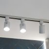 20 Turkusowy babilon lampa Aio