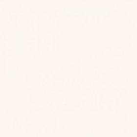 Płytka Gamma Bianco Mat 9,8x9,8 Paradyż