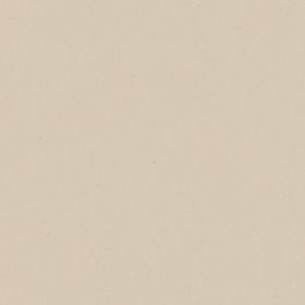 Płytka Modernizm Bianco Mat 19,8x19,8 Paradyż