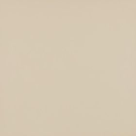 Płytka Modernizm Bianco Mat 59,8x59,8 Paradyż