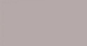 Płytka Ścienna Colour Marrone Mat 29,8x59,8 gr.10mm Domino