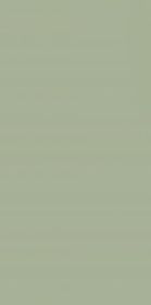 Płytka Ścienna Feelings Green 29,8X59,8 Paradyż