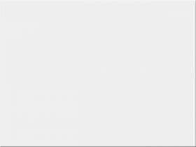 Płytka Ścienna Neve Bianco Połysk 25x33,3 Paradyż