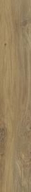Płytka Specialwood Wood Honey Struktura Mat 19,8x119,8 Paradyż Classica