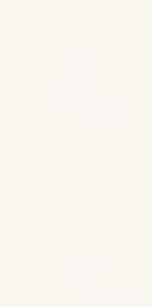 Płytka Tabia White Mat 29,8x59,8 Paradyż