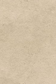 Płytka Tarasowa Authority Beige Struktura 59,5X89,5 Paradyż