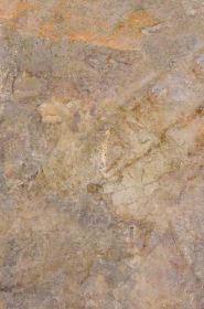 Płytka Tarasowa Burlington Rust Struktura Mat 59,5X89,5 Paradyż