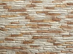 Stegu Kamień elewacyjny CALIFORNIA 1  Desert 55x15