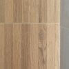 Landstone clay (15)