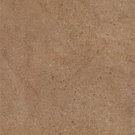 Płytka Algo Brown Mat 30x30 Paradyż Classica