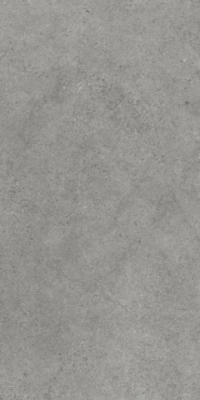 Płytka Authority Grey Mat 60X120 Paradyż Płytka Authority Grey Mat 60X120 Paradyż