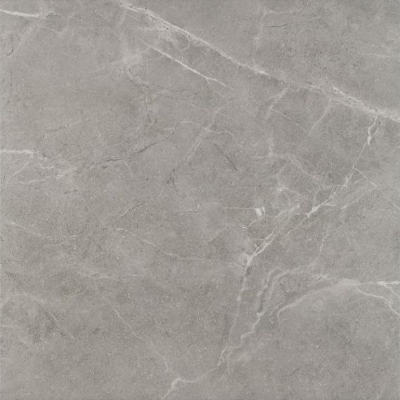 Płytka Ibis Grys Mat 60X60 Paradyż Płytka Ibis Grys Mat 60X60 Paradyż
