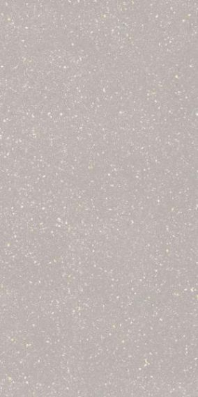 Płytka Macroside Silver Mat 59,8X119,8 Paradyż