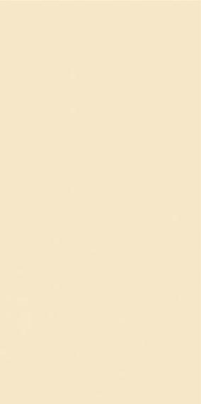 Płytka Neve Vanilla Mat 29,8x59,8 Paradyż