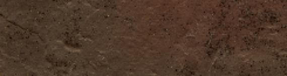 Płytka Ścienna Semir Brown Elewacja 24,5x6,6 Paradyż