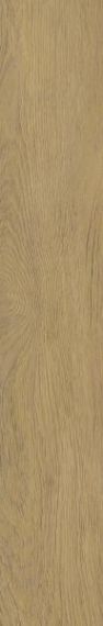 Płytka Spacewood Gold Struktura Mat 19,8x119,8 Paradyż Classica