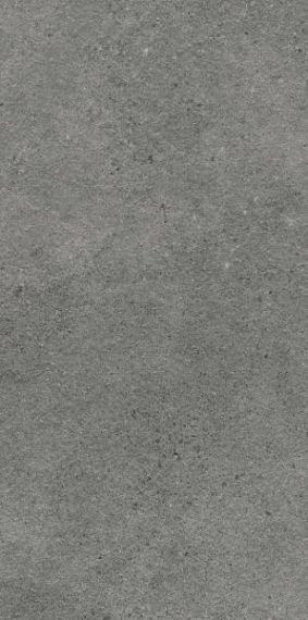 Płytka Tarasowa Authority Graphite Mat 59,5x119,5 Paradyż