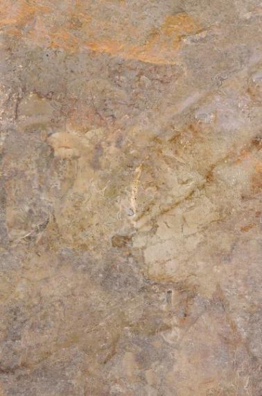 Płytka Tarasowa Burlington Rust Struktura Mat 59,5X89,5 Paradyż