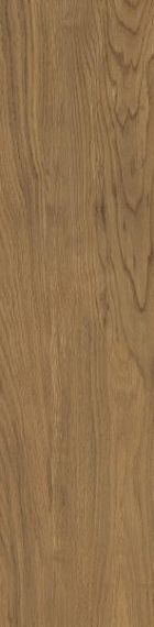 Płytka Tarasowa Trueland Honey Mat 29,5X119,5 Paradyż